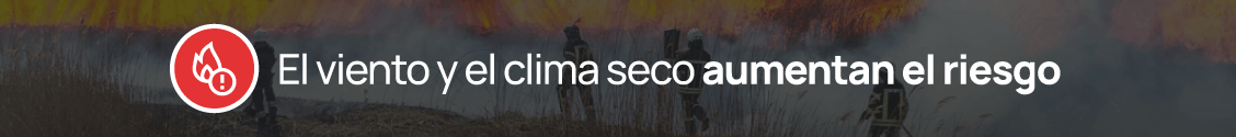 banner2